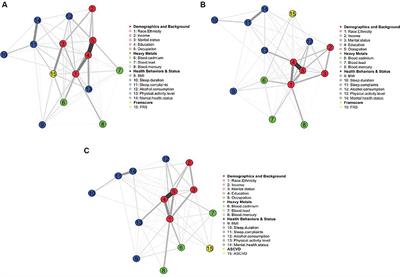 Cardiovascular disease risk: it is complicated, but race and ethnicity are key, a Bayesian network analysis